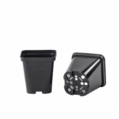 Doniczka produkcyjna kwadratowa V0.5l, 9х9х9.6cm Р9