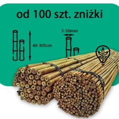 Tyczki bambusowe 305 cm (Ø 20/22 mm)