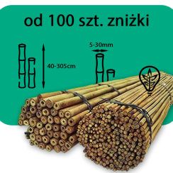 Tyczki bambusowe 90 cm (Ø 10/12 mm)